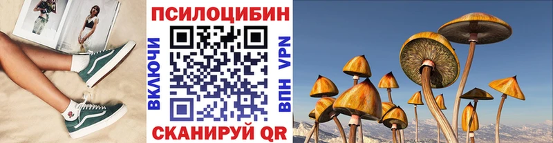 наркота  Мостовской  Галлюциногенные грибы Cubensis 
